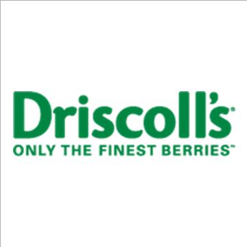 Logo Driscoll's web